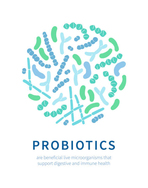 Vector illustration poster of the human microbiome, probiotic beneficial bacteria. Vector illustration poster of the human microbiome, probiotic beneficial bacteria. Microorganisms in the digestive system gut flora. Flat design blue and green on white background probiotic pattern stock illustrations