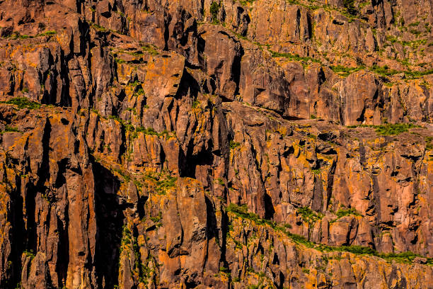 istock A rocky cliff with green moss growing on it 2164635816