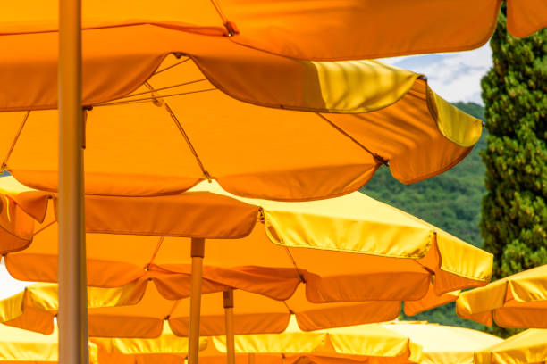 istock many bright yellow parasols on a terrace 2164636353
