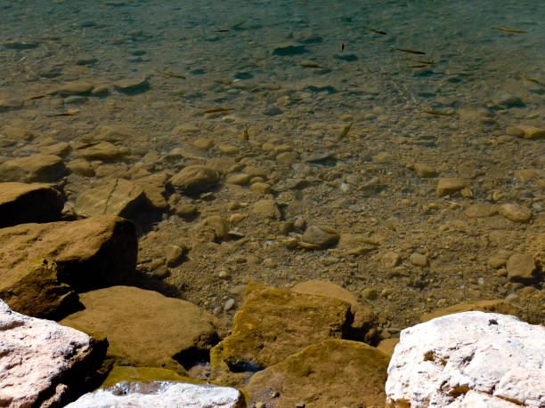 istock River in Paradise Valley, Agadir, Morocco 2164637145