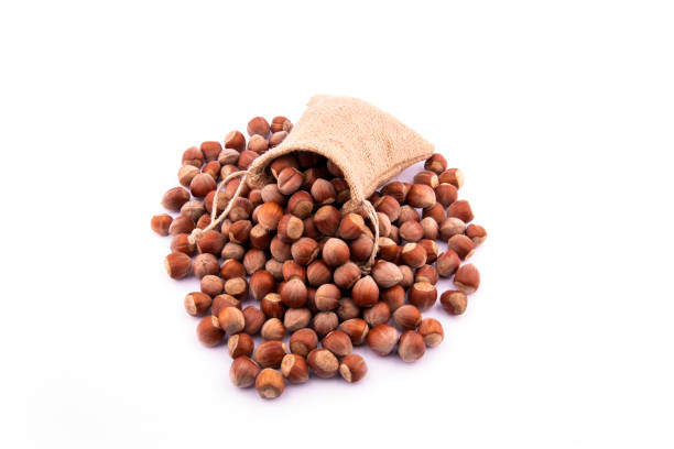 shelled hazelnuts in knitted sack on white background. shelled hazelnuts in linen sack