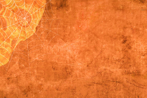 A skull and a spider web on an orange grunge background.