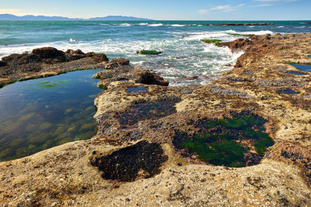istock Surf and Tide Pools Botanical Beach BC 2164641082