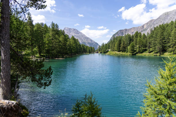 istock Serene Mountain Lake with Pine Trees 2164642796