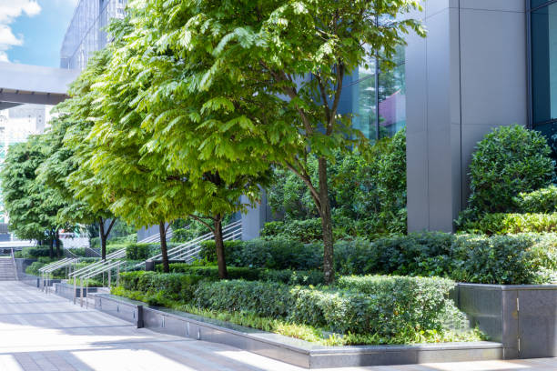 Go Green – Sustainable Resources – Green Building