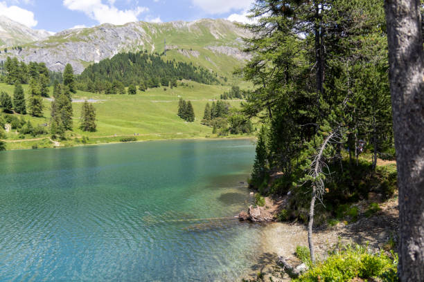 A scenic mountain lake with clear blue water, surrounded by pine trees and a rocky shore. The landscape includes mountains in the background under a partly cloudy sky.
