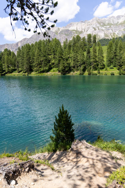 istock Scenic Mountain Lake with Pine Trees and Rocky Shore 2164645141