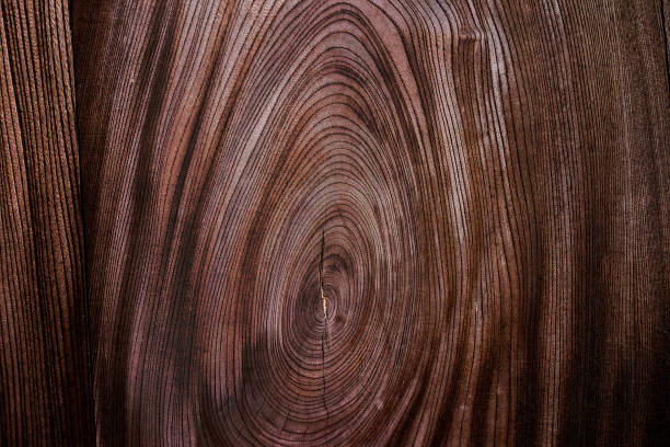 Beautiful wood grain. Wood background. Wood grain pattern texture background