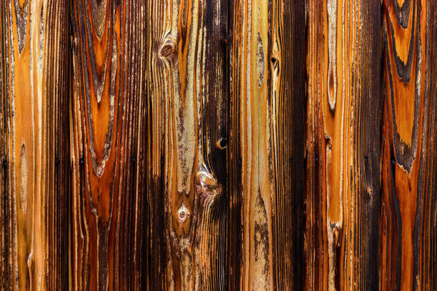 Beautiful wood grain. Wood background. Wood grain pattern texture background