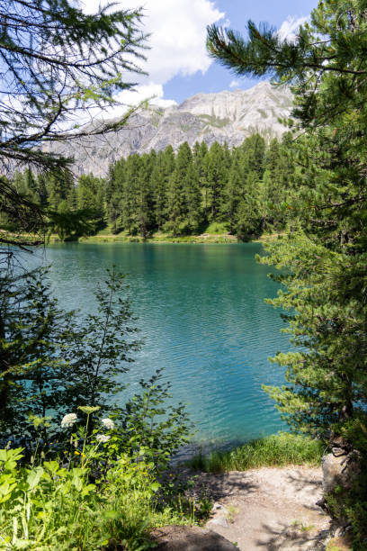 istock Enchanting Lake Amidst Forested Alpine Heights 2164646192