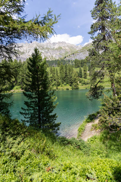 istock Serene Lake Nestled Between Forest and Peaks 2164646210
