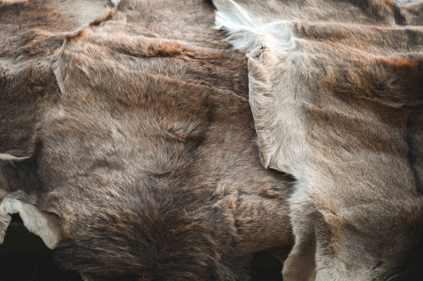 Close up of fur carpet.