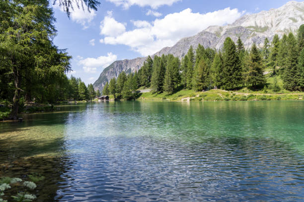 istock Pristine Mountain Lake with Forest and Alpine Landscape 2164647799