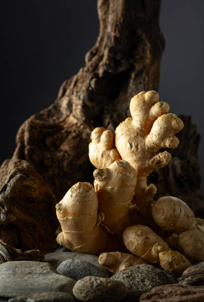istock Ginger root with old snags and stones on a black background. 2164648744