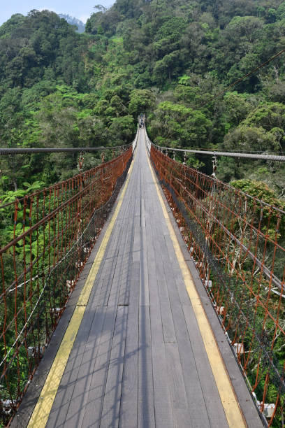 family resting with their baby  on the bridge during hiking in the forest