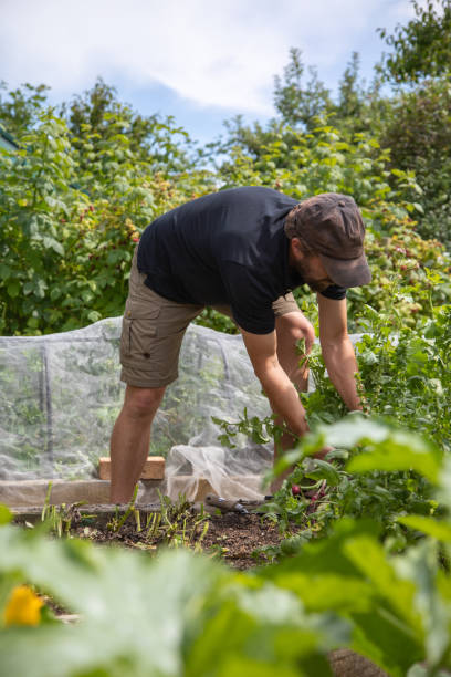 istock Man gardening in England 2164651917