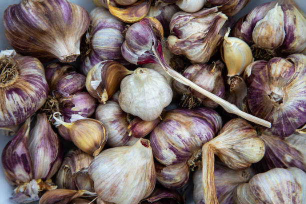 Broken garlic some cloves of which are on the table, a few cloves of red garlic