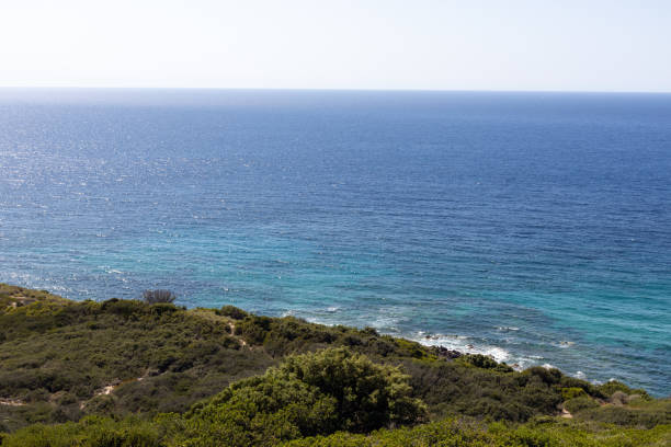 Sunlit Sardinia coastline with a clear blue sea and lush greenery.