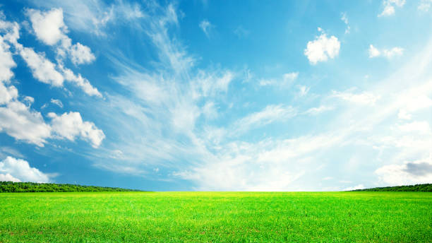 istock Summer landscape with green field and sky 2164654359