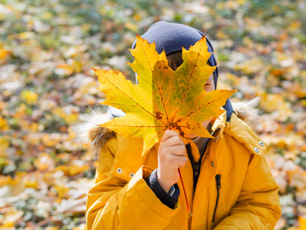 Boy is hiding behind yellow maple leaf. Autumn fun with fallen leaves in park. Leisure activity outdoors. Autism. Autism spectrum disorder.