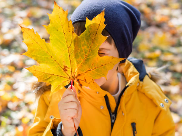 istock Boy is hiding behind yellow maple leaf. Autumn fun with fallen leaves in park. Leisure activity outdoors. Autism. Autism spectrum disorder. 2164658229