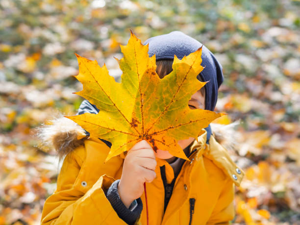 istock Boy is hiding behind yellow maple leaf. Autumn fun with fallen leaves in park. Leisure activity outdoors. Autism. Autism spectrum disorder. 2164658253