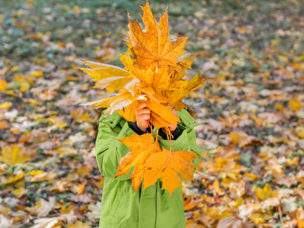 istock Boy is hiding behind yellow maple leaf. Autumn fun with fallen leaves in park. Leisure activity outdoors. Autism. Autism spectrum disorder. 2164658268