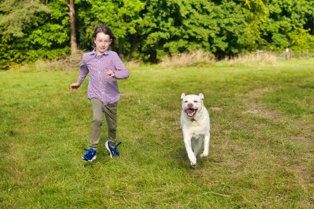 istock Little boy exercising his dog 2164659564