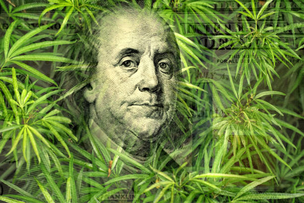 American one hundred dollar bill with leaves