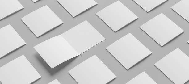 istock Bi fold brochure mock up isolated on white background. Square bi fold brochure. 3D illustration 2164663251