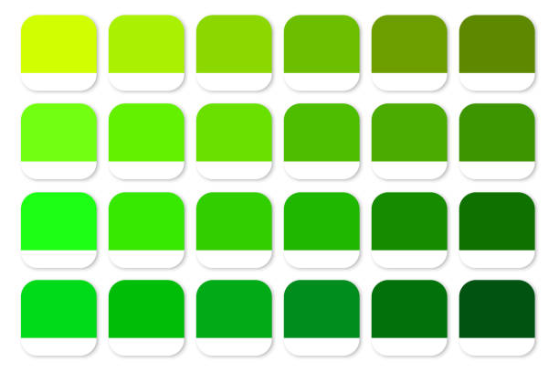 Green Base Green Base