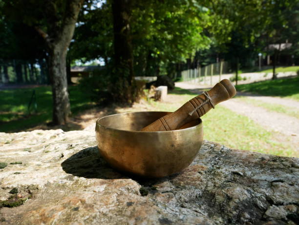 istock Singing bowl on a rock with nature in the background 2164666762