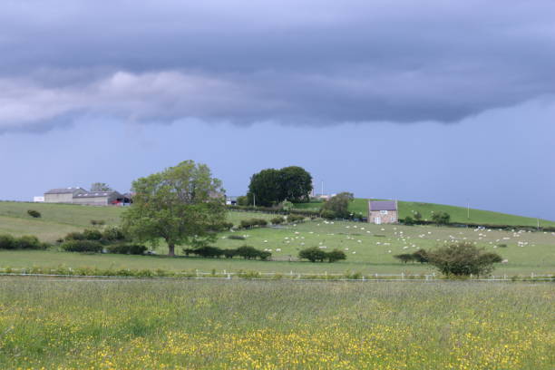 istock Storm clouds over countryside fields in summer 2164667420