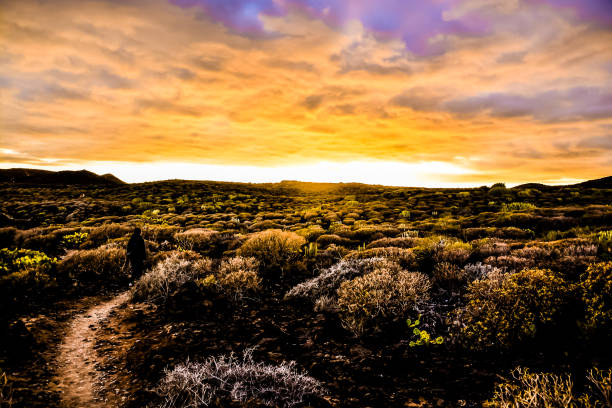 istock A beautiful sunset over a dry, barren landscape 2164669466