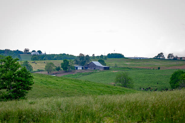 istock Farm landscape in eastern Kentucky 2164671512