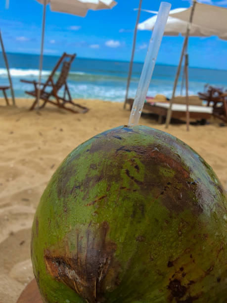 istock Coconut at the beach 2164676306