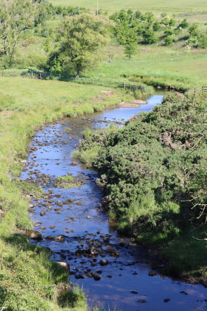 istock View along a small river flowing through countryside meadows in summer 2164677753