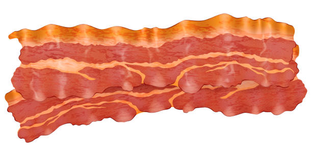Fried slices of bacon. Fried slices of bacon. Vector illustration. cooked bacon slice stock illustrations