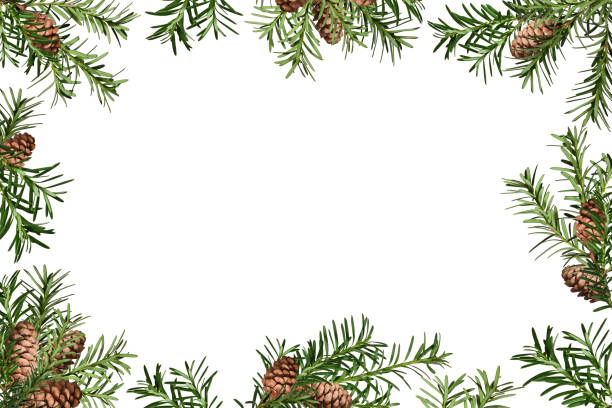 istock Christmas frame made of green conifer branches and brown cones. 2164683470