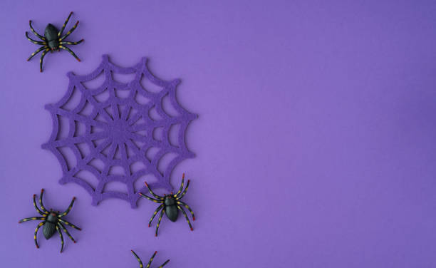 istock A purple background with a spider web and three black spiders on it, halloween celebration. 2164685637