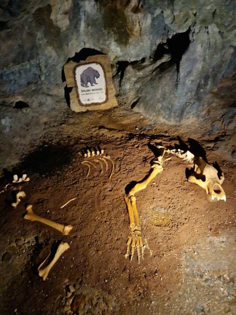 istock Cave of Island Krk - Biserujka 2164686141
