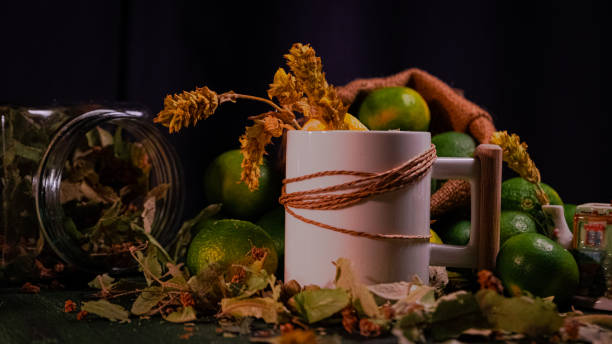 Rustic Citrus and Herbal Still Life Collection