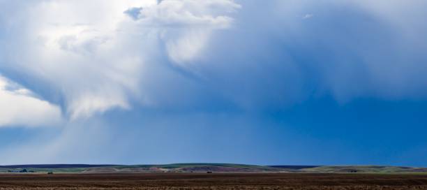 istock Panorama of Eastern Washington Wheat Fields in Rainstorm 2164703886