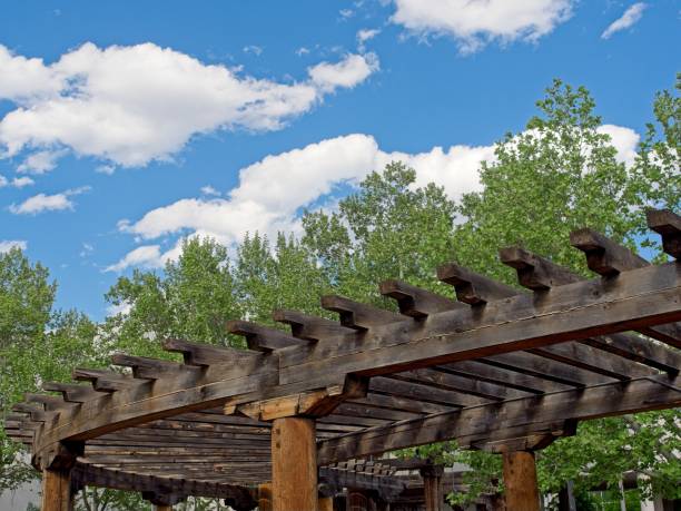 istock Pergola with shaded walkway with blue sky background on college campus 2164705080