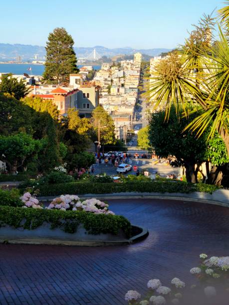 istock Lombard Street from Top View! 2164705857