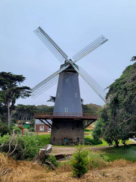 istock Murphy Windmill in Golden Gate Park! 2164705918