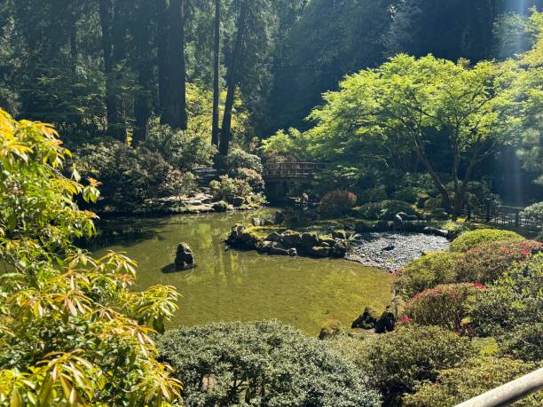 istock Japanese garden 2164711669