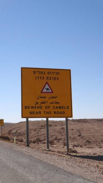 istock Israel - Negev Desert 2164712231