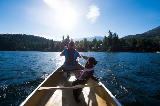 View to bow of canoe with man and dog paddling canoe on tranquil lake at sunrise