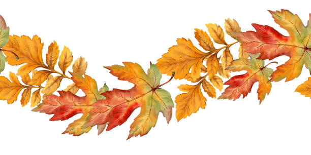 istock Autumn curve seamless border with watercolor texture maple leaf. Hand drawn floral arrangement with realistic fall foliage. Perfect for botanical endless card template and frame designs. 2164713214